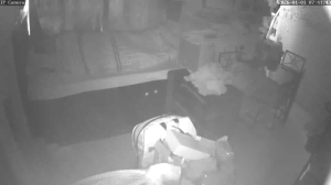 Caméra IP - Hong Kong