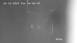 Caméra IP - Belgien