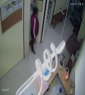 Caméra IP - Malesia