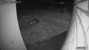 Caméra IP - Netherlands