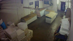 Caméra IP - Malaysia