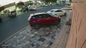 Caméra IP - Émirats Arabes Unis