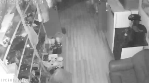 Caméra IP - Russian Federation