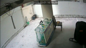 Caméra IP - South Korea