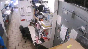 Caméra IP - Estados Unidos