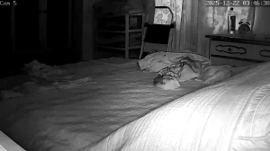 Caméra IP - Stati Uniti d'America