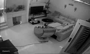 Caméra IP - Malaysia