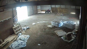 Caméra IP - Estados Unidos