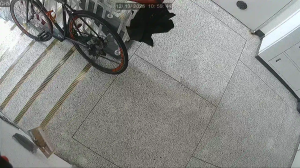 Caméra IP - South Korea