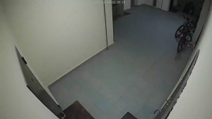 Caméra IP - Vue en direct