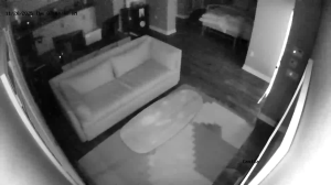 Caméra IP - United States of America