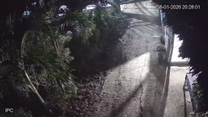 Caméra IP - Vietnam