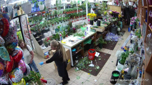 Caméra IP - Estados Unidos