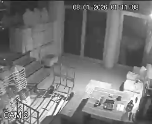 Caméra IP - Türkiye