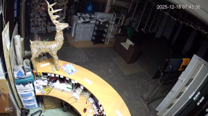 Caméra IP - Russian Federation