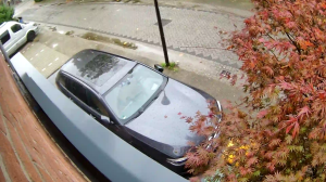 Caméra IP - Netherlands