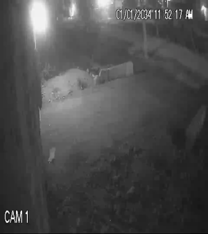 Caméra IP - Pakistan