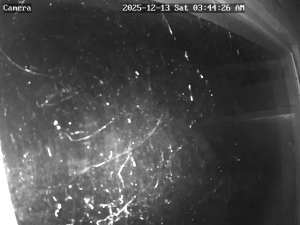 Caméra IP - Danimarca