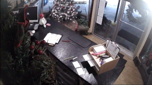 Caméra IP - United States of America