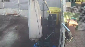 Caméra IP - Martinique