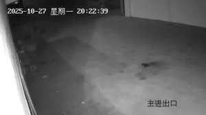 Caméra IP - Cina