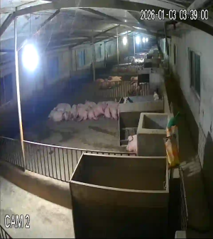 Caméra IP - Vietnam