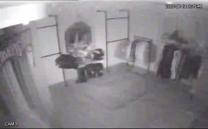 Caméra IP - Francia