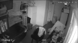 Caméra IP - United States of America