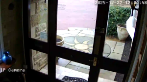 Caméra IP - Regno Unito