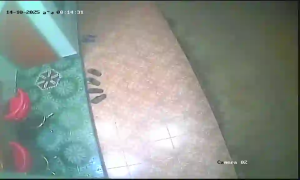 Caméra IP - Thaïlande