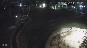 Caméra IP - United States of America