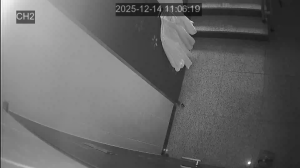 Caméra IP - South Korea