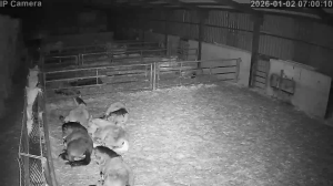 Caméra IP - Espagne