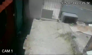 Caméra IP - Uruguay