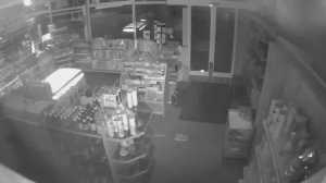 Caméra IP - Germany