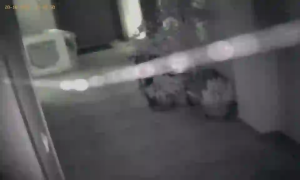 Caméra IP - Bulgaria