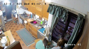 Caméra IP - Libanon