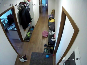 Caméra IP - Russian Federation