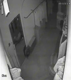 Caméra IP - Vietnam