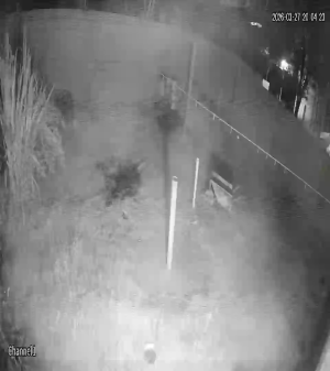 Caméra IP - Argentina