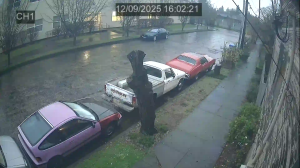 Caméra IP - États-Unis d'Amérique