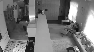 Caméra IP - Russian Federation