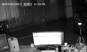 Caméra IP - Chine