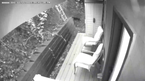 Caméra IP - États-Unis d'Amérique