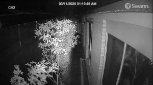 Caméra IP - Australia