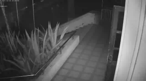 Caméra IP - Georgia