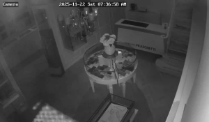 Caméra IP - Italien