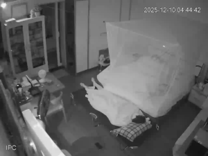 Caméra IP - Vietnam