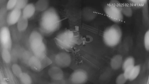 Caméra IP - Australie