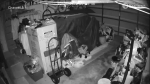 Caméra IP - États-Unis d'Amérique